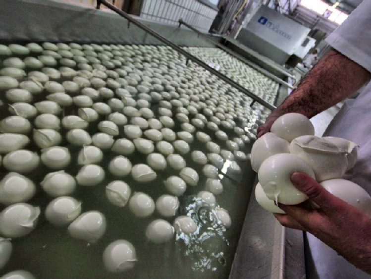 Włochy: wykryto kolejne wielkie oszustwo przy produkcji mozzarelli